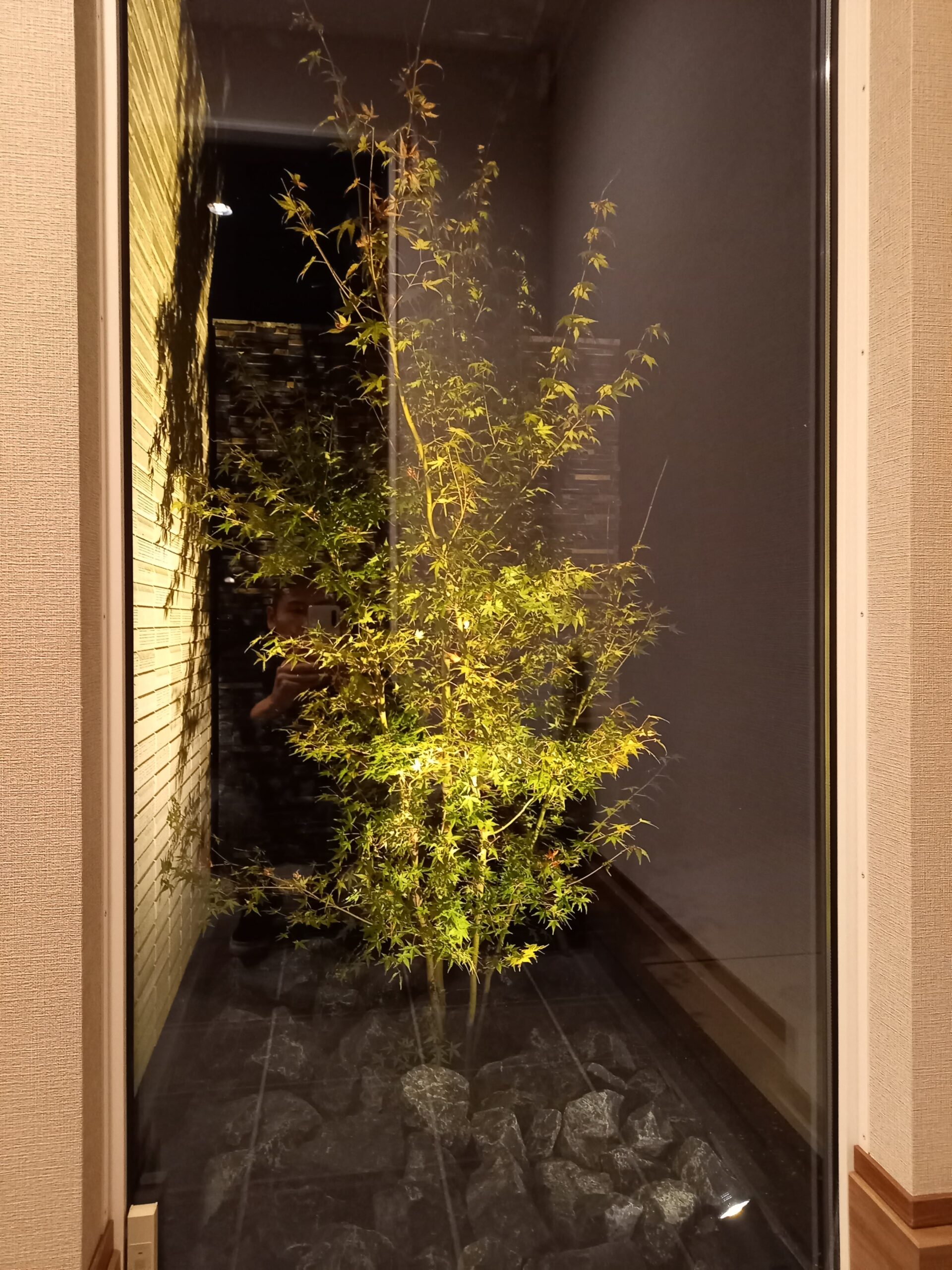 北九州市小倉南区の外構リフォームで施工したモミジのライトアップと天然石の造作塀の夜景