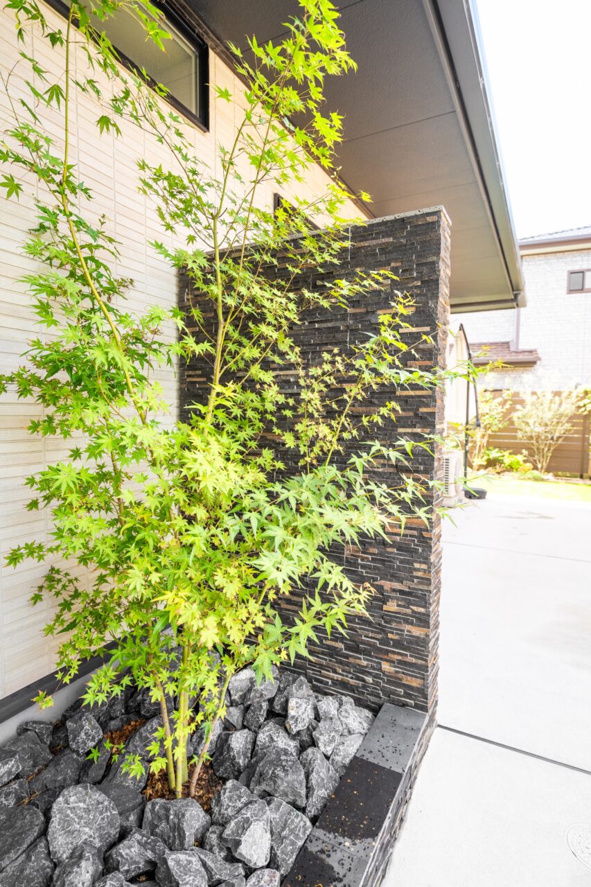 北九州市小倉南区の外構リフォームで施工したピクチャーウィンドウ前の坪庭とイロハモミジ
