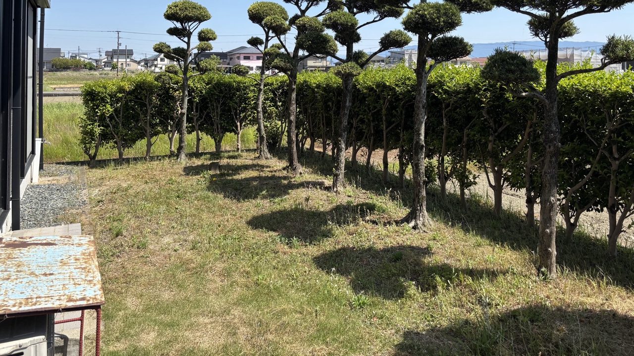 福岡県朝倉市の外構リフォーム施工前。お庭の内側から見た生垣の様子。足元に隙間があるため完全に視線を遮るのが難しく、お子様が遊ぶには少し不安が残る状態のお庭。